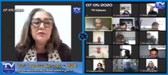 Vereadora em sessão extraordinária por videoconferência