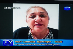 Sessão extraordinária remota.