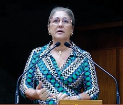 Vereadora Lourdes Sprenger, autora de emendas para melhorar o mobiliário urbano. 