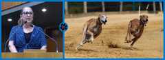 Projeto da Vereadora Lourdes proíbe corrida de cães em Porto Alegre