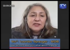 Ver. Lourdes Sprenger em plenário virtual