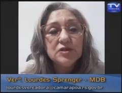 Lourdes Sprenger em plenário virtual