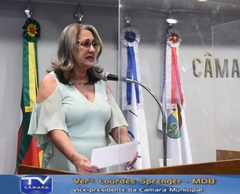 Lourdes Sprenger destacou as ações legislativas sem interrupção durante a pandemia
