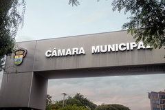 Debate sobre previdência será feito por videoconferência. Foto: Acesso a Câmara Municipal