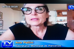 Reunião da Cece foi realizada pela plataforma Zoom