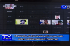 Discussões a respeito da PROCEMPA