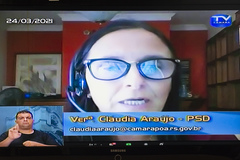 Sessão remota foi realizada pela plataforma Zoom