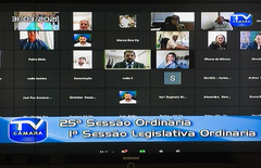 Sessão ordinária teve formato virtual