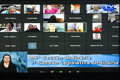 Sessão ordinária teve formato virtual