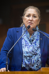 Vereadora Lourdes Sprenger (MDB)