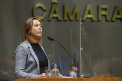 Vereadora Fernanda Barth na tribuna.