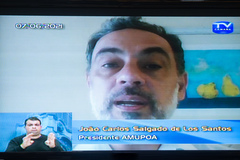 Historiador participou de forma remota