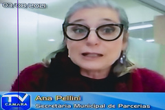 Ana Pellini apresentou estudo sobre a Carris e explicou as possíveis formas de desestatização da empresa