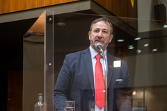 Guiomar Vidor