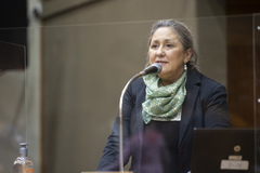 Vereadora Lourdes Sprenger (MDB)