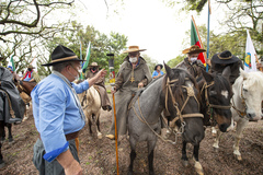 Presidente Márcio Bins ELy recebe a Chama Crioula de cavalarianos do MTG juntamente a vereadores e autoridades e visitam exposição alusiva ao bicentenário do nascimento de Anita Garibaldi.