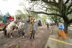 Presidente Márcio Bins ELy recebe a Chama Crioula de cavalarianos do MTG juntamente a vereadores e autoridades e visitam exposição alusiva ao bicentenário do nascimento de Anita Garibaldi.