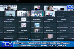 Encontro aconteceu através da plataforma Zoom