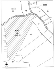 AEIS III