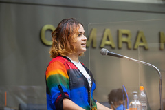 Diana de Almeida Santana