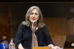 Vereadora Lourdes Sprenger durante Sessão da Câmara Municipal