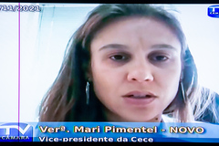 Mari Pimentel (NOVO) coordenou os trabalhos