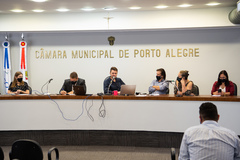 Encontro foi transmitido pela plataforma Zoom do plenário Ana Terra, o Plenarinho