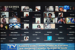 Reunião virtual foi organizada pela Câmara Municipal