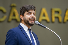 Felipe Camozzato (Novo)