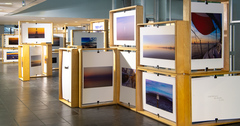 Exposição está montada no andar térreo da Câmara