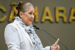 Lourdes Sprenger (MDB)
