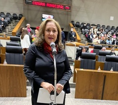 Vereadora Lourdes fala em plenário