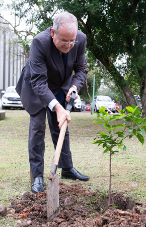 No dia da árvore Presidente Idenir Cecchim planta simbolicamente uma laranjeira.