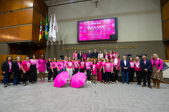 Sessão Solene de início da Campanha Outubro Rosa 2022