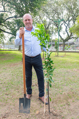 Vereador Gilson Padeiro planta seu bergamoteiro no pomar da Câmara Municipal