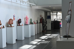 Exposição está montada no térreo da Câmara até 3 de novembro (Foto: Lucas Zanella / CMPA)