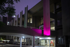 Fachada da Câmara Municipal iluminada com luz rosa.
