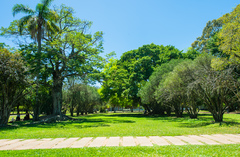 Proposta cria Campanha Junho Verde em Porto Alegre