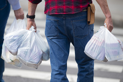 Vereadora destaca que sacolas têm alto custo ambiental