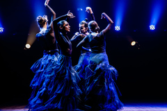 Espetáculo de dança flamenca será apresentado sexta e sábado no teatro Glênio Peres da Câmara