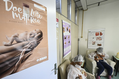 Servidoras poderão se afastar por um dia a cada mês, mediante comprovação por banco oficial de leite