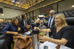 Fernanda Barth (PSC) é a autora do projeto
