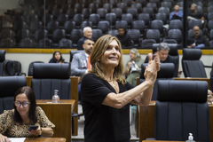 Movimentação de plenário. Vereadora Mônica Leal comemora aprovação de projeto