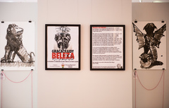 Exposição Graça Craidy - Beleza Escondida