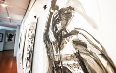 Exposição Graça Craidy - Beleza Escondida