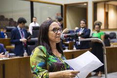 Movimentação de plenário. Vereadora Cláudia Araújo no microfone de apartes