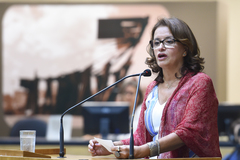Margarete Moraes (PT), autora do projeto