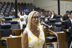 Movimentação de plenário. Vereadora Fernanda Bath