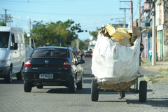 Catadores recolhem material reciclável pelas ruas da Capital