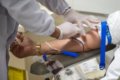 Iniciativa busca promover a doação de sangue como ato de solidariedade e compromisso social